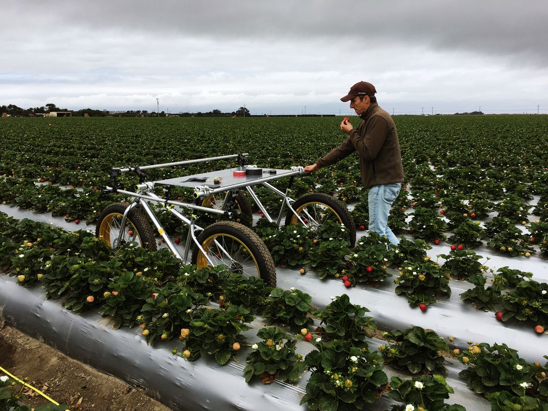 Is This Weed-Spotting, Yield-Predicting Rover the Future of Farming?