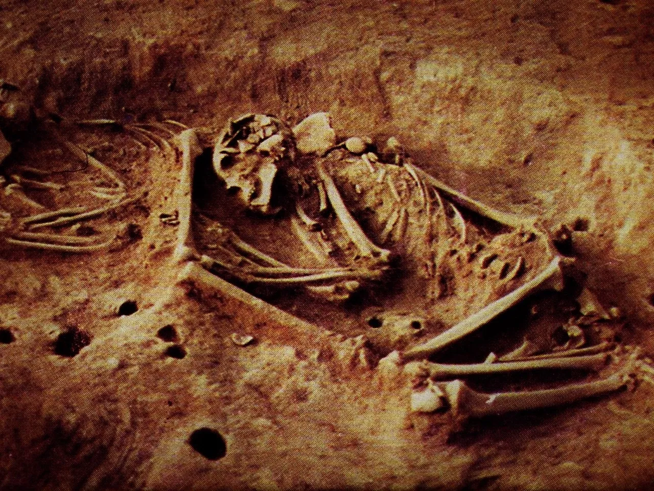 Ancient DNA Reveals Mysterious New Group of Humans in Colombia With No  Genetic Ties to People Today