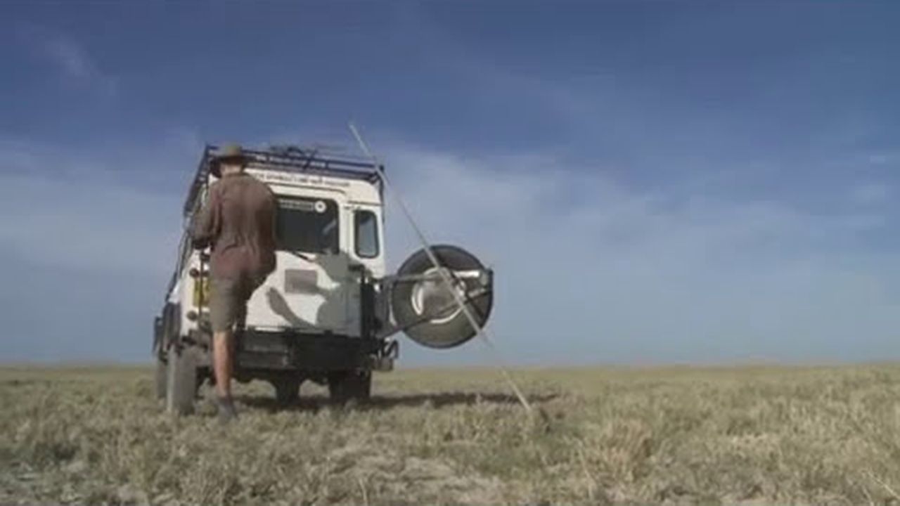 Preview thumbnail for Zebra Tracking