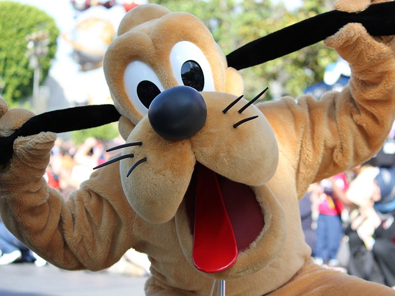 Pluto Dog