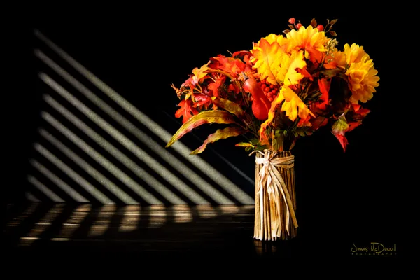 Fire Flowers thumbnail