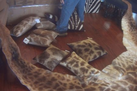 Giraffe pillows and hide for sale in Florida.