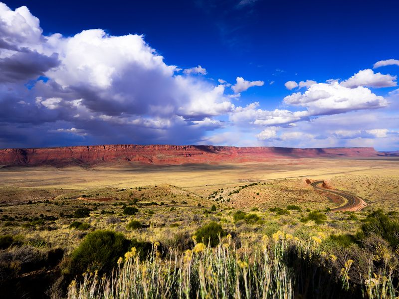 Near the Kaibab National Forest, Arizona This vast expanse represents