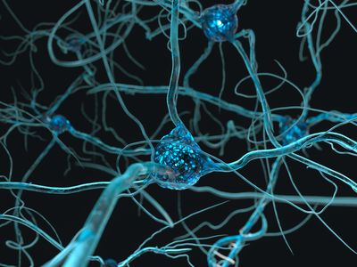 Researchers calculated that the human brain processes thought at a speed of ten bits per second.
