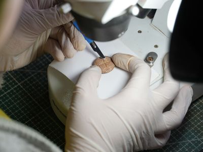 The tokens are roughly the size of a half-dollar coin and feature markings etched into their surfaces.