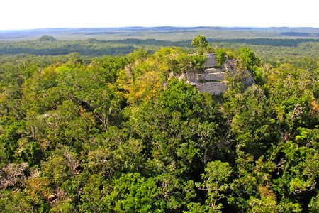View of La Danta—one of the world's largest pyramids—located in the Mirador Basin.