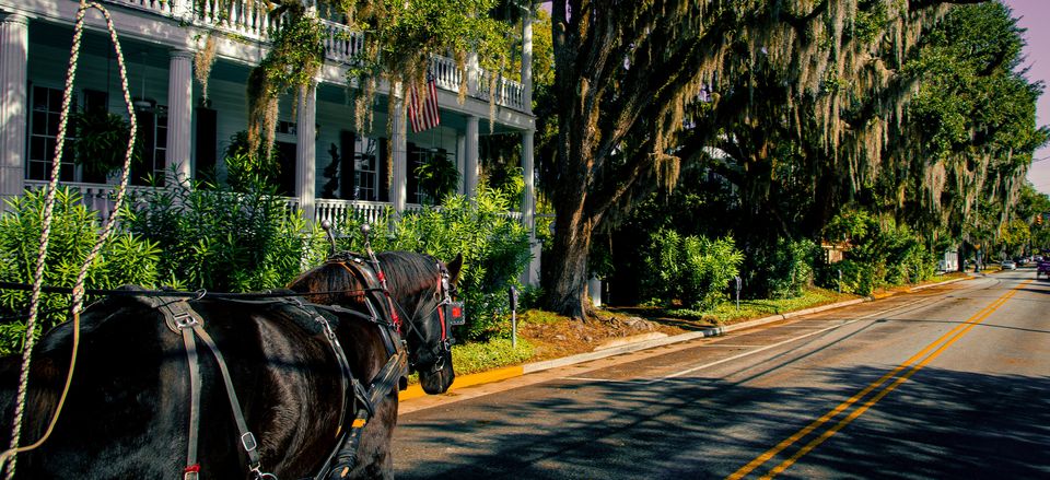  Carriage ride in Beaufort. Credit: Wade Jennings