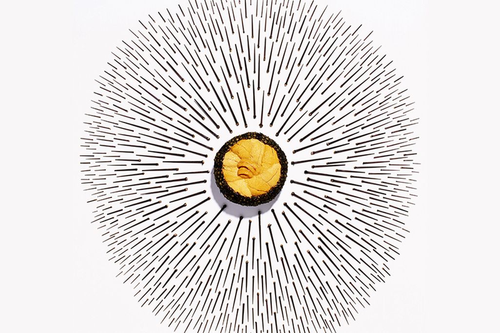 JULAUG14_J02_SeaUrchins-hero.jpg