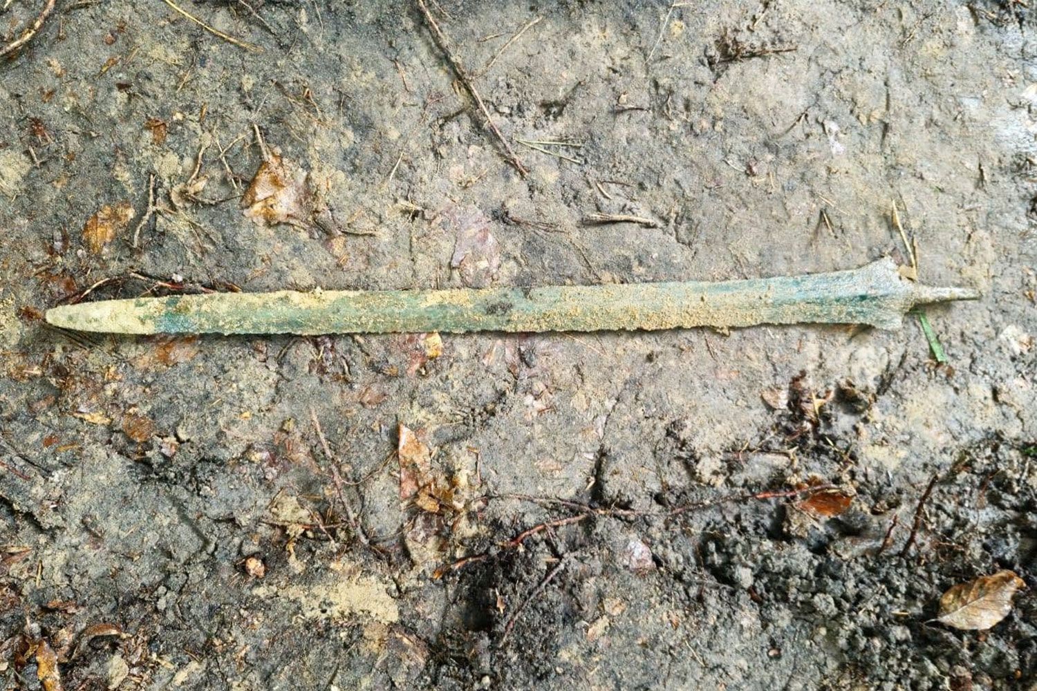 A Man Unearthed a Mysterious Metal Object Sticking Straight Up From the Ground. It Turned Out to Be a 2,700-Year-Old Sword