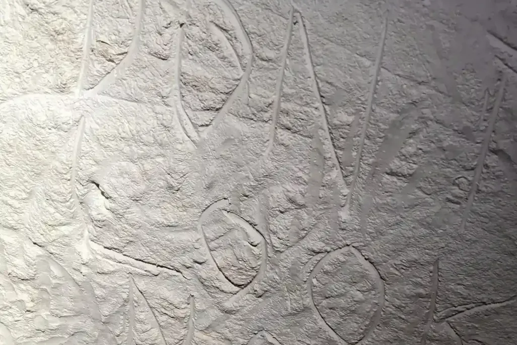 2160-1024x1024.jpg