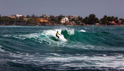 Big Waves Meet Biodiversity: Why Surfing Paradises Could Offer a Key Opportunity for Marine Conservation