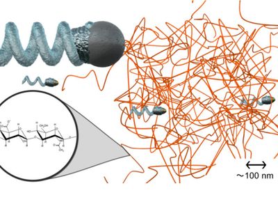 Nanopropellers, shown in this artists rendition as the smaller corkscrew shapes can move through even difficult areas of the body. Micropropellers, like the one illustrated in the top left, tend to get stuck in the same materials (shown here in orange) 