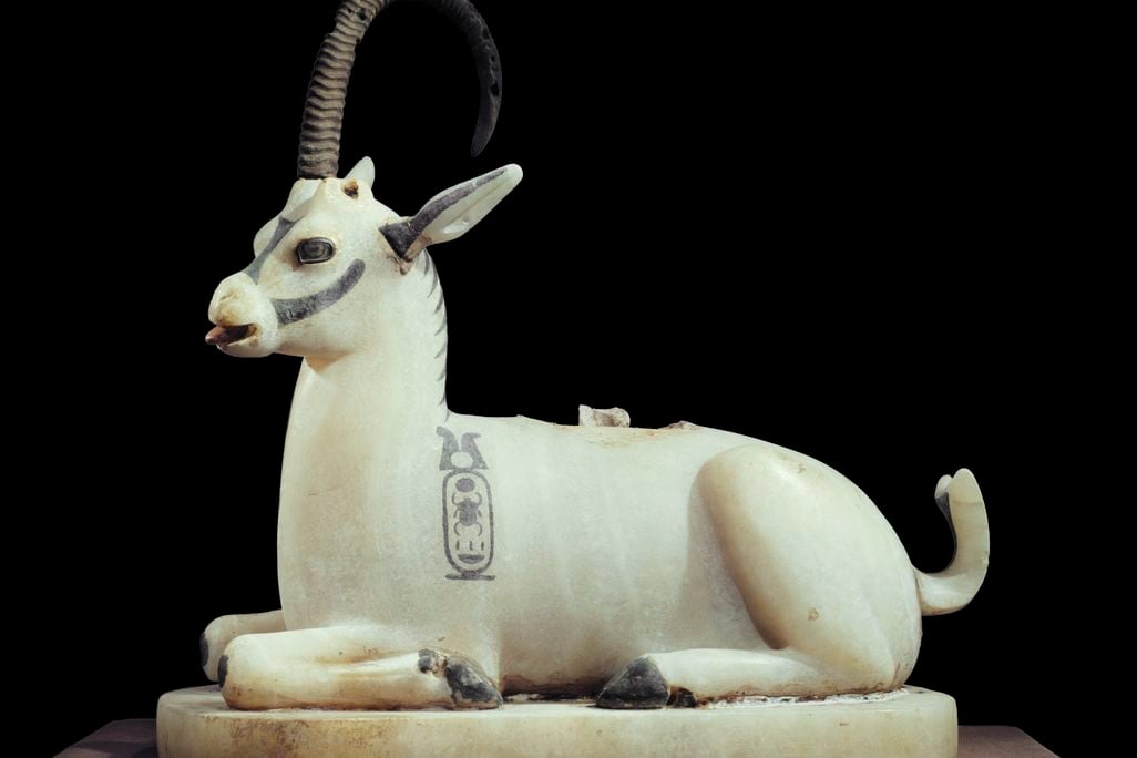 Ibex Jar