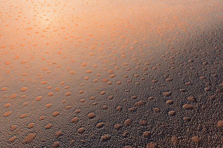This aerial view shoes the weird wonder of "fairy circles" in the Namibian desert. 