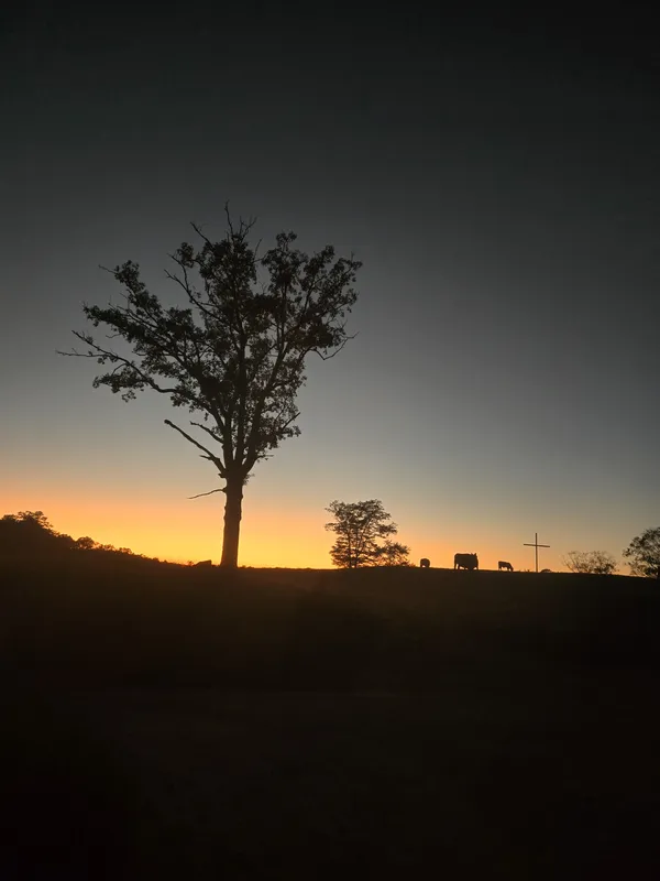 County sunset thumbnail