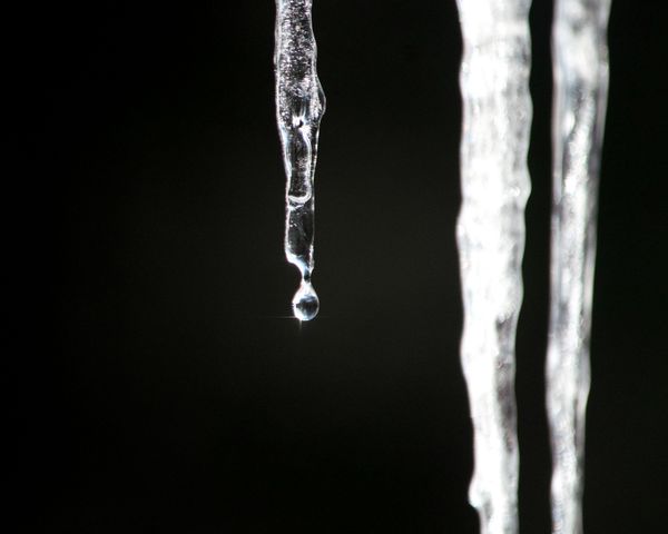 Sparkling Icicles, Black and White Naturally thumbnail