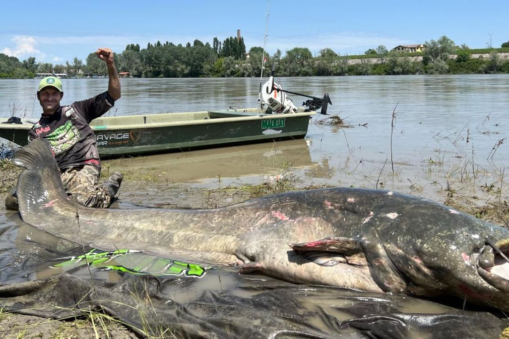 Man with huge catfish next to river