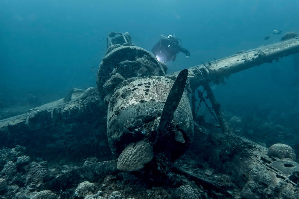 A diver examines the underwater wreck of an airplane