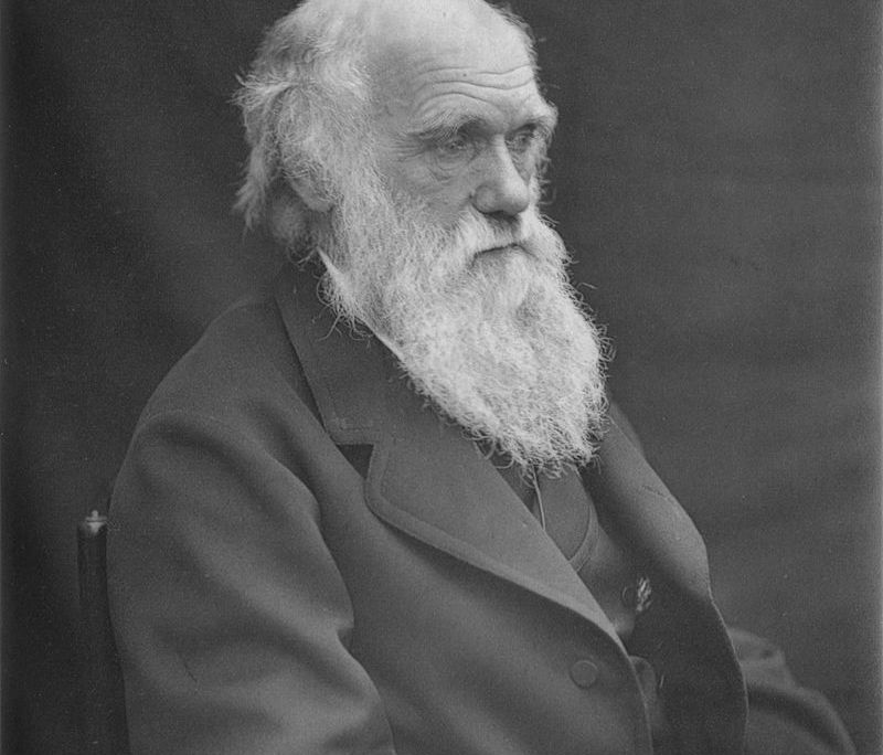 800px-1878_Darwin_photo_by_Leonard_from_Woodall_1884_-_cropped_grayed_partially_cleaned.jpg