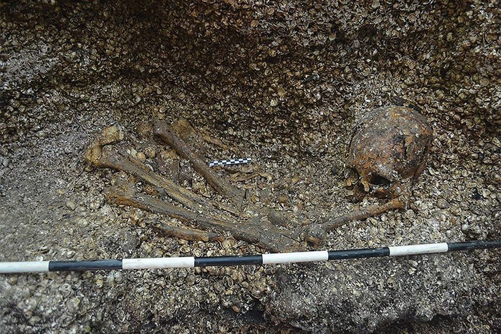 excavation1.jpg