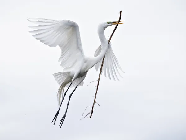 Burden of Creation thumbnail