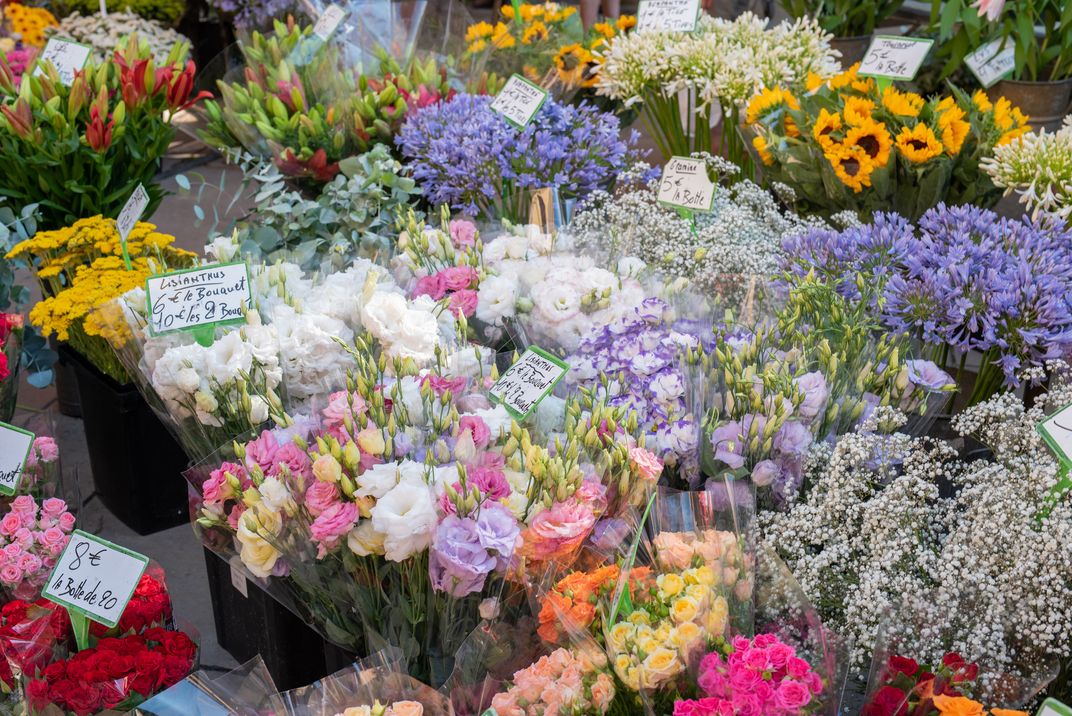 Flower display in the market in Nice