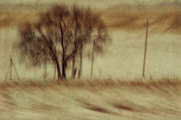 Winter sketch thumbnail