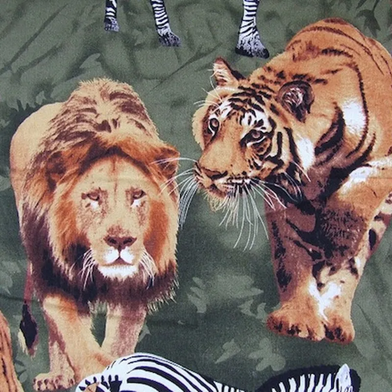 Lions and tigers at play, oh my!