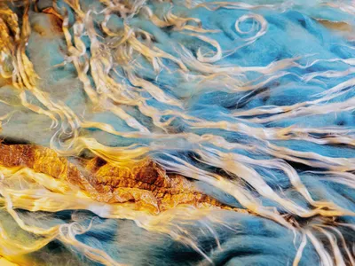 <p>Though stationary, fibers of different colors and textures are combined in ways that suggest water or air in motion and subject to the whims of turbulence.</p>