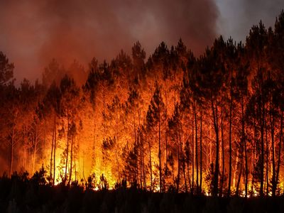 A forest fire in Louchats, southwestern France, on July 17, 2022