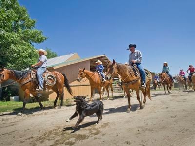The more than 7,000-acre Rowse&#39;s 1+1 Ranch hosts vacation stays in Burwell, Nebraska.