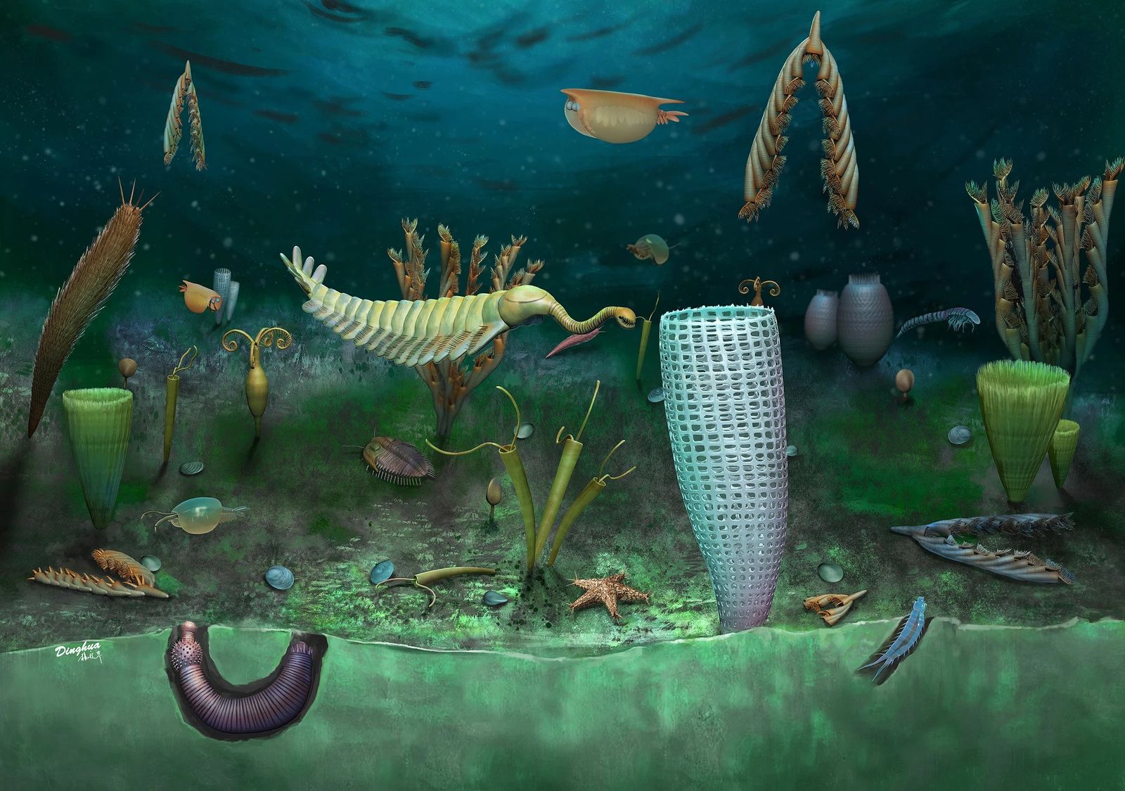 Precambrian Animals List