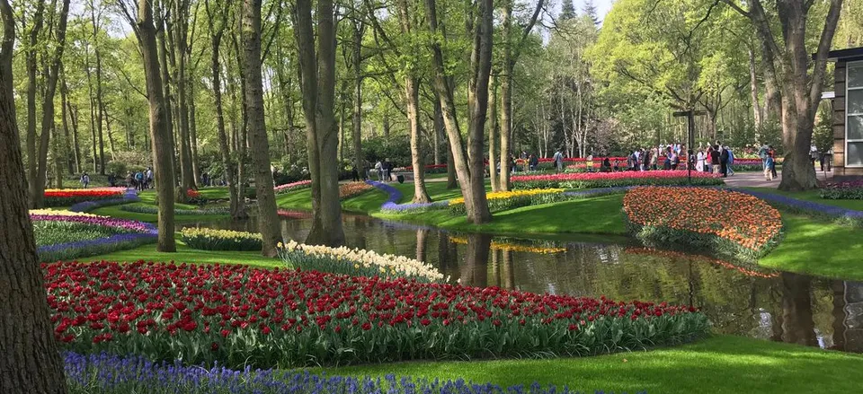 Virtual Journey: Waterways of Holland and Belgium Discover Keukenhof Gardens and celebrate Spring in Holland on this virtual tour.
