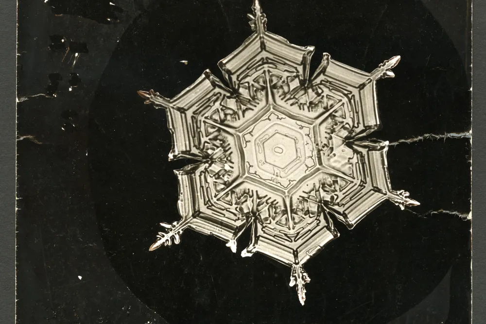 Photomicrograph of Stellar Snowflake No. 579A