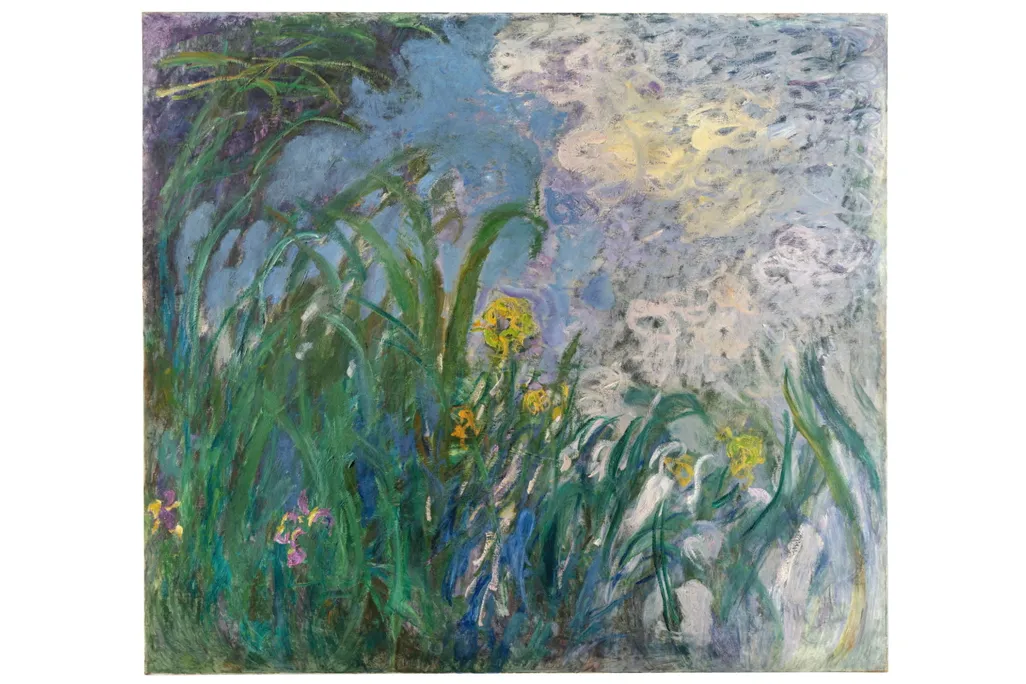 iris