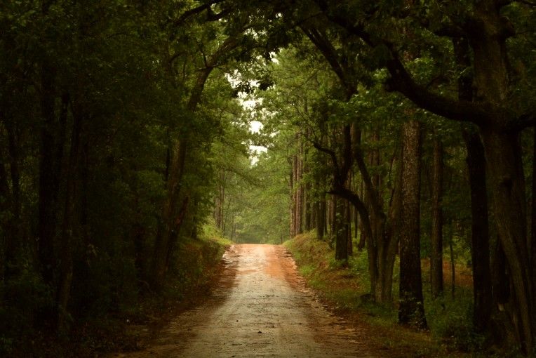 A red clay road in southern Smithsonian Photo Contest