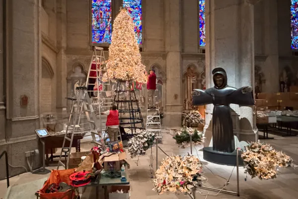 Still Hope thumbnail