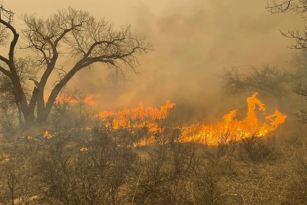A fast-moving orange wildfire blaze moves through dry brush and trees in the Texas Panhandle