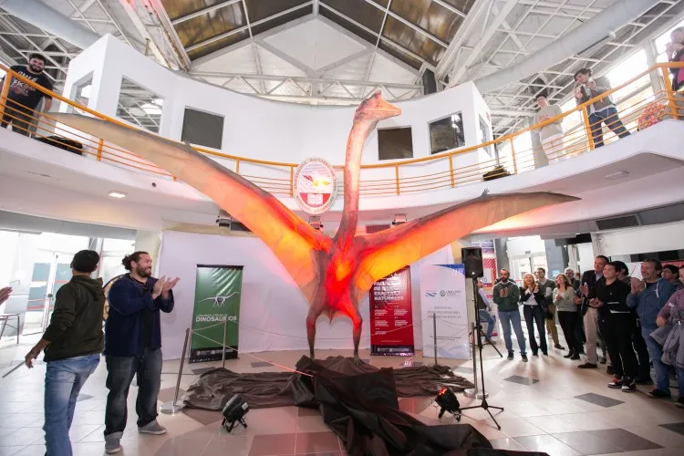 An image of a reconstruction of the pterosaur unveiled at the Museum of Dinosaurs in the National University of Cuyo in Mendoza