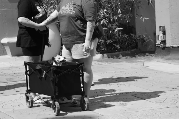 Along for the Ride thumbnail