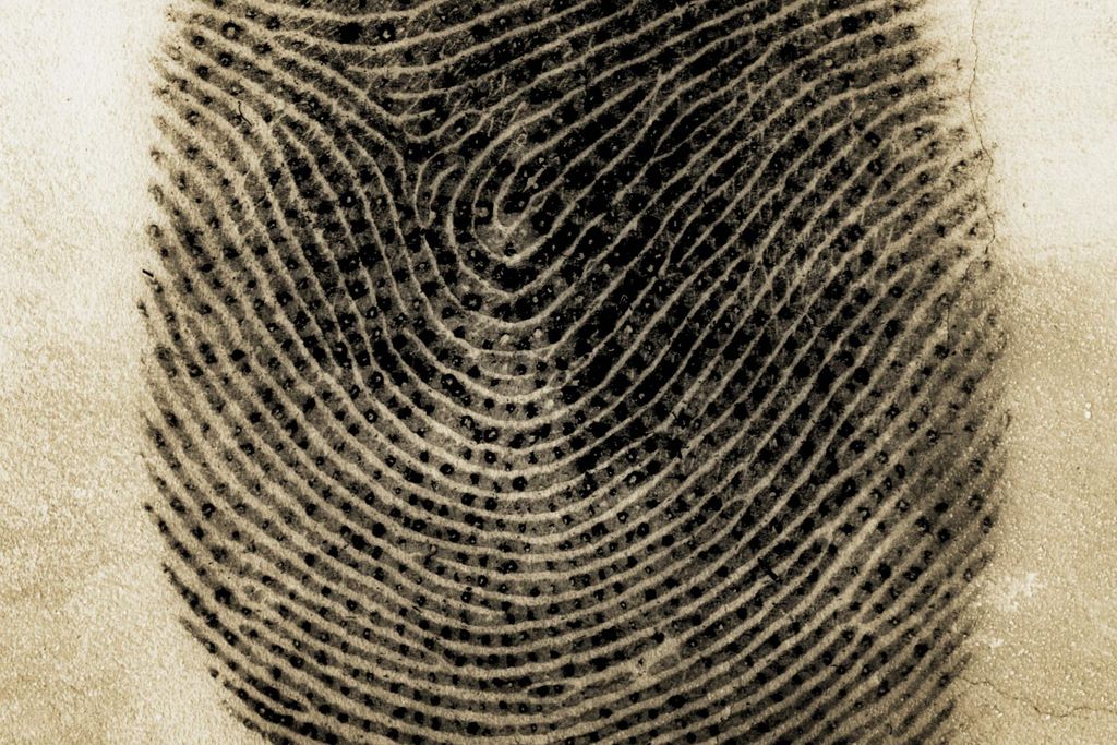 Fingerprint