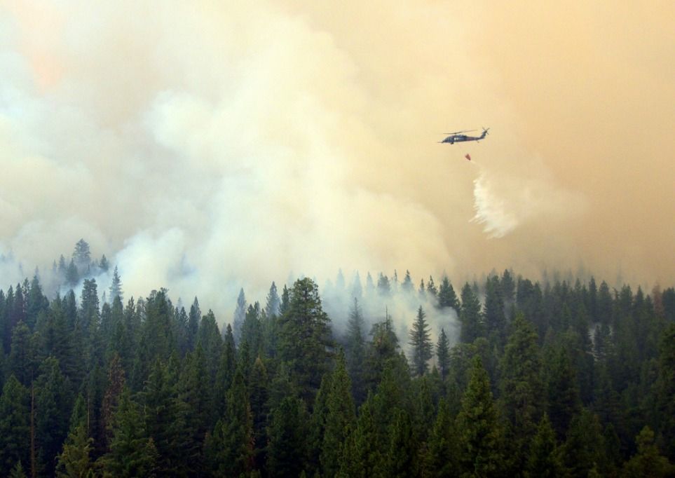 rim fire