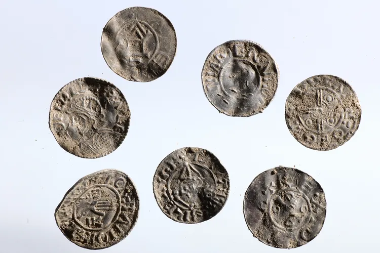 Seven of the coins from the newly discovered hoard, which is the largest of its kind ever found in Norway