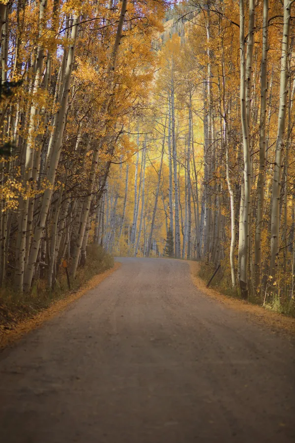 Going Home thumbnail