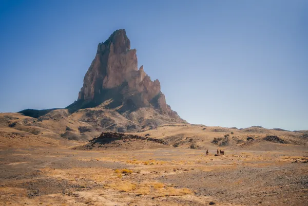 Horses of the High Desert thumbnail