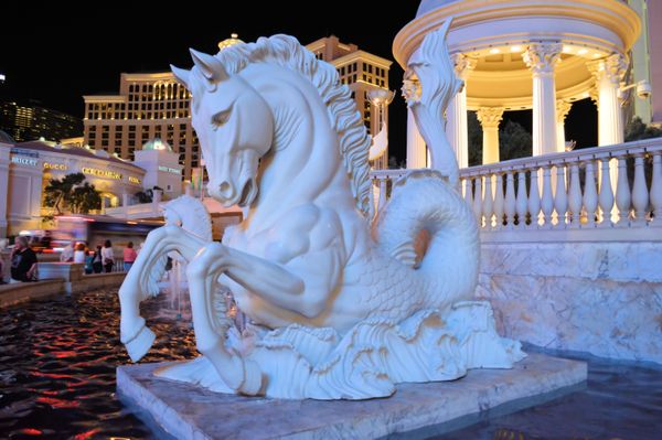 06-Horse, Las Vegas_USA thumbnail