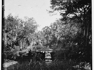 Savannah, Georgia during the Civil War. The southern landscape is often a key element of southern gothic fiction.