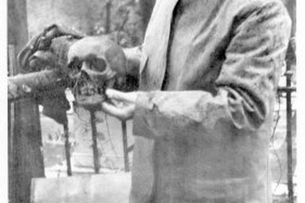 Smithsons-skull.jpg