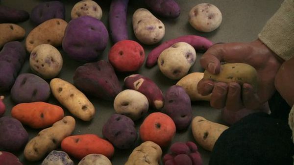 Preview thumbnail for Unearthing the History of the Potato