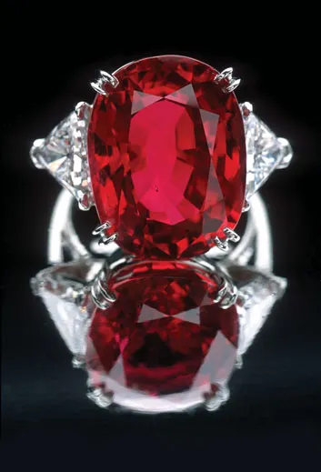 超絶希少❗️クロトン サイアムルビー 'Siam Ruby'✨ Romance And The Stone